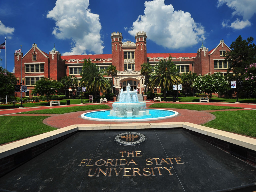 florida state university phd education